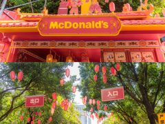 -越秀西湖花市(广州城市广场花卉店)