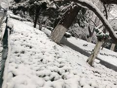 -悦真雅院·四合院·清真私房菜(雍和宫店)