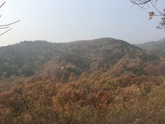 -北京鹫峰国家森林公园