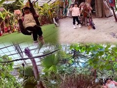-呀路古热带植物园