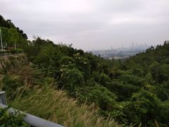 -火炉山森林公园