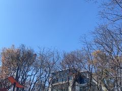 -瑞丰园庭院餐厅·白族传统家常菜