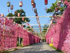 -北京凤凰岭
