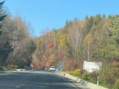 -庆岭迎宾园正宗活鱼馆