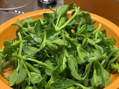 -喜味涮自助小火锅(广州东圃天河城店)