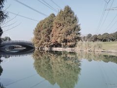 -九里河湿地公园