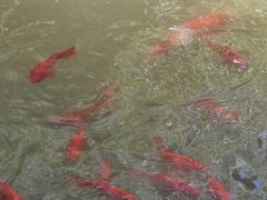 -东坡赤壁风景名胜区
