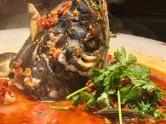 -坛宗剁椒鱼头(河西王府井店)