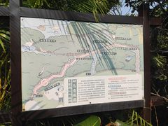 -东寨港红树林旅游区