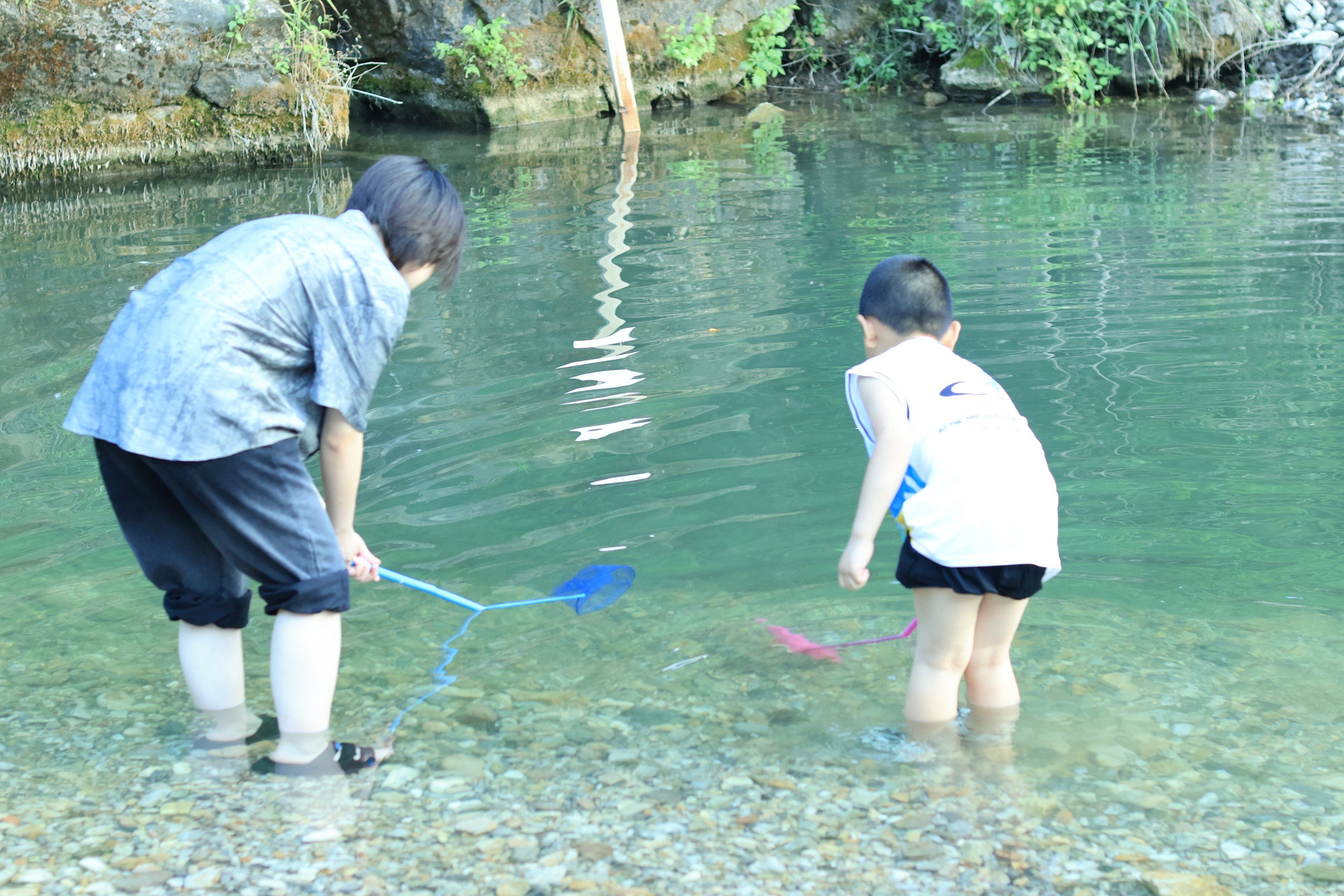 端午假期好充实,带小朋友下水摸鱼,抓蝌蚪