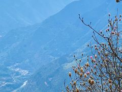 -九皇山景区