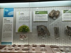 -浙江自然博物院(杭州馆)