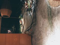 -鲤·鮨KOISUSHI