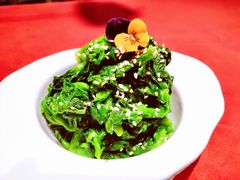 油菜苔-赵小姐丨新中餐(曲江店)