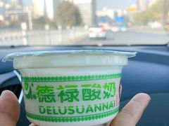 德禄酸奶-德禄酸奶(莫家街店)