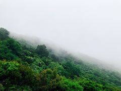 -大姆山草场