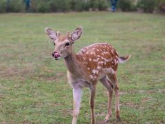 -野鸭湖国家湿地公园