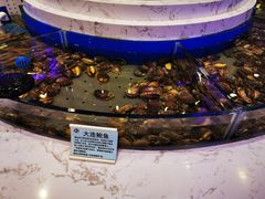 -澜悦港海鲜体验主题餐厅