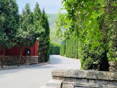 -青龙山生态文化旅游区