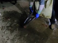 -姥家大锅台水库渔家