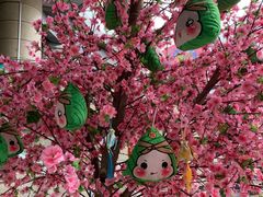 -华东师范大学第二附属中学(张江校区)