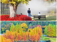 -南京银杏湖乐园