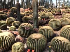 -南通洲际绿博园