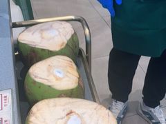 -椰小鸡·琼州糟粕醋(美兰缤纷城店)