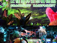 -正佳雨林生态植物园
