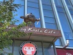 -了不起的考拉咖啡店(高新店)