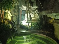 -海口观澜湖火山温泉谷