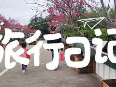 -观澜湖生态运动公社