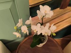 -南堂馆·新川菜(春熙路店)