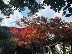 -何园