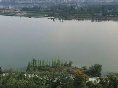 -东旭阳光国际大酒店