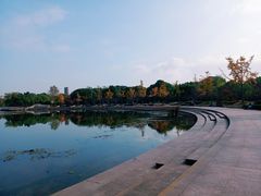 -新江湾城公园