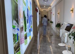 -南京医科大学友谊整形外科医院