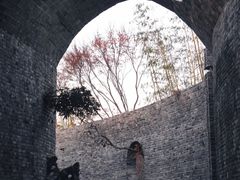 -朴园