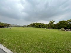 -昆山城市生态森林公园