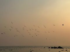 -深圳湾公园(南山区)