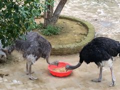 -武汉紫薇都市田园