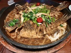 -老板恋上鱼(高新万达店)