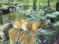 -北京野生动物园