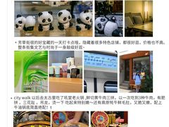 -成都大熊猫繁育研究基地