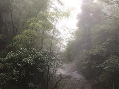 -东天目山风景区