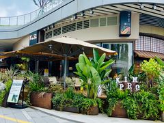 -KimPro 辛普乐概念韩餐