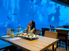 -涛·海底餐厅·美人鱼·自助餐·海底隧道(三亚海棠湾洲际度假酒店)