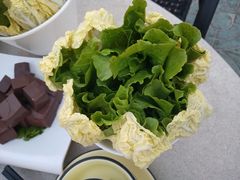 -墨脱石锅椰子鸡•香草鸭•东山羊(大东海店)