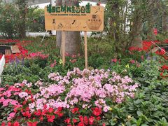 -福田红树林生态公园