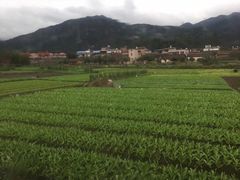 -古龙峡云天玻霸